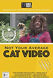 Not Your Average Cat Video