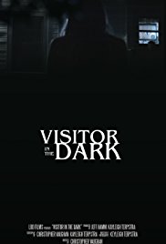 Visitor in the Dark